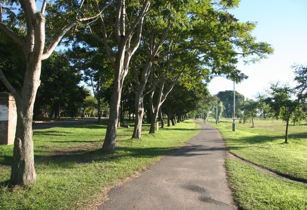 Se esperan temperaturas agradables para este domingo | Información General