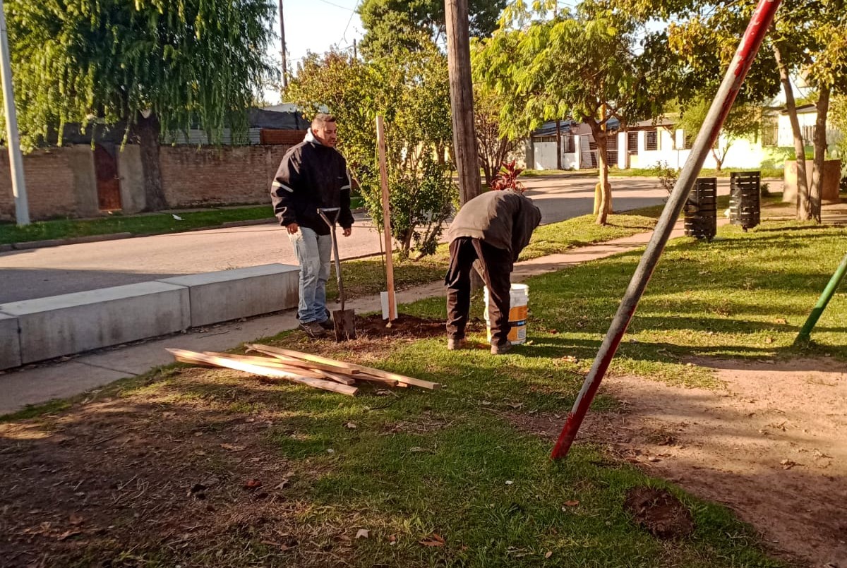 Las tareas de fumigación, iluminación y bacheo previstos para este 19 de mayo | Información General
