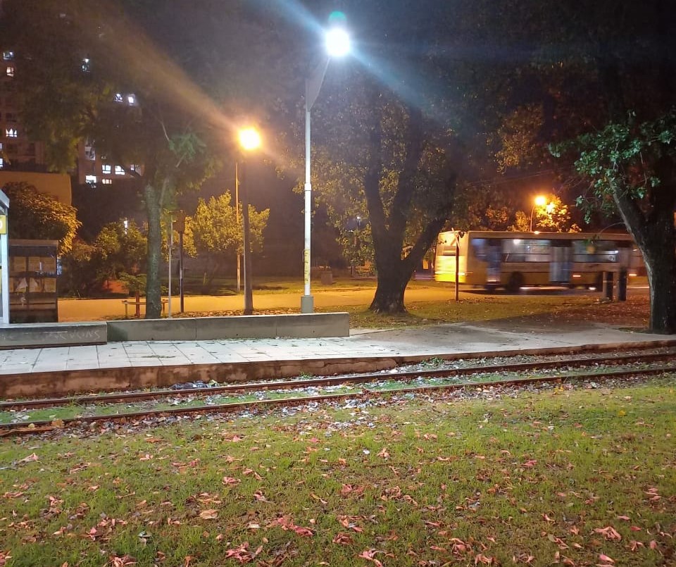 Los trabajos de iluminación, arbolado y bacheo previstos para este 23 de mayo | Información General