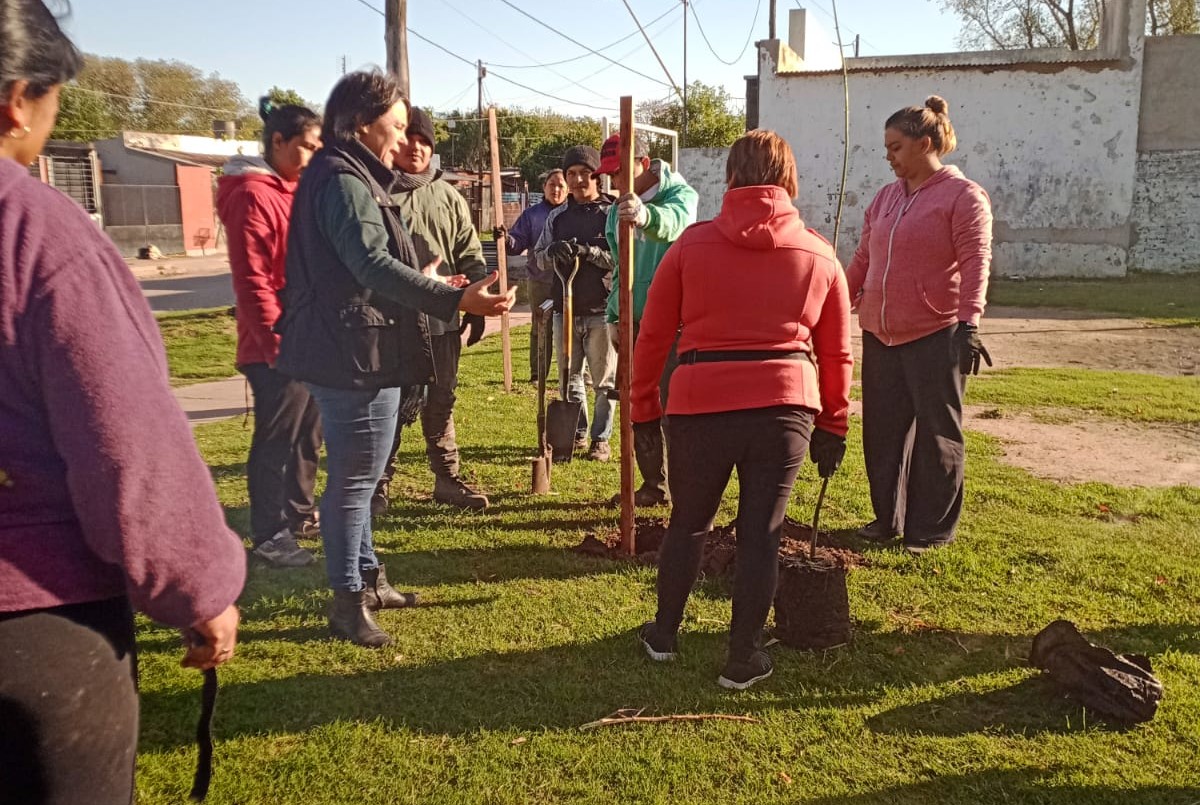Los trabajos de arbolado, bacheo e iluminación previstos para este 30 de mayo | Información General