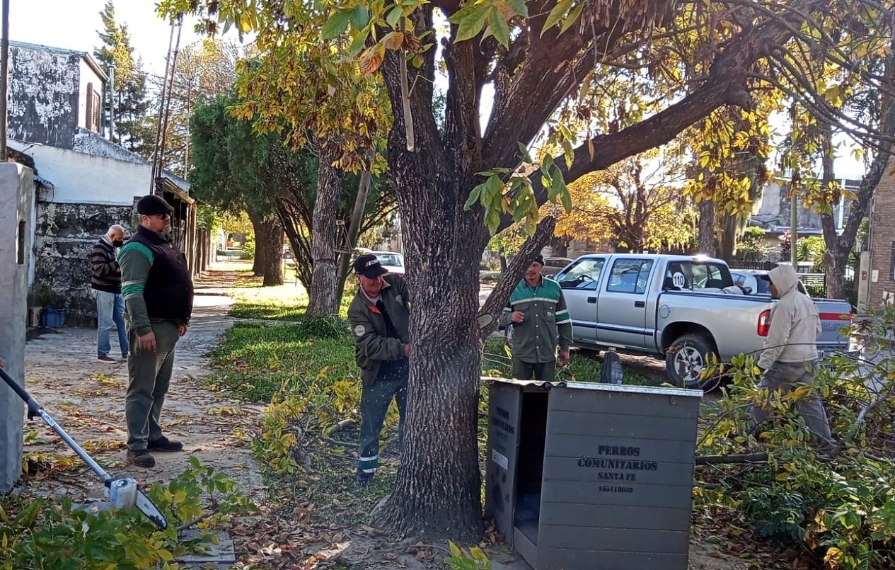 Las tareas de arbolado, bacheo e iluminación previstos para este 2 de junio | Información General