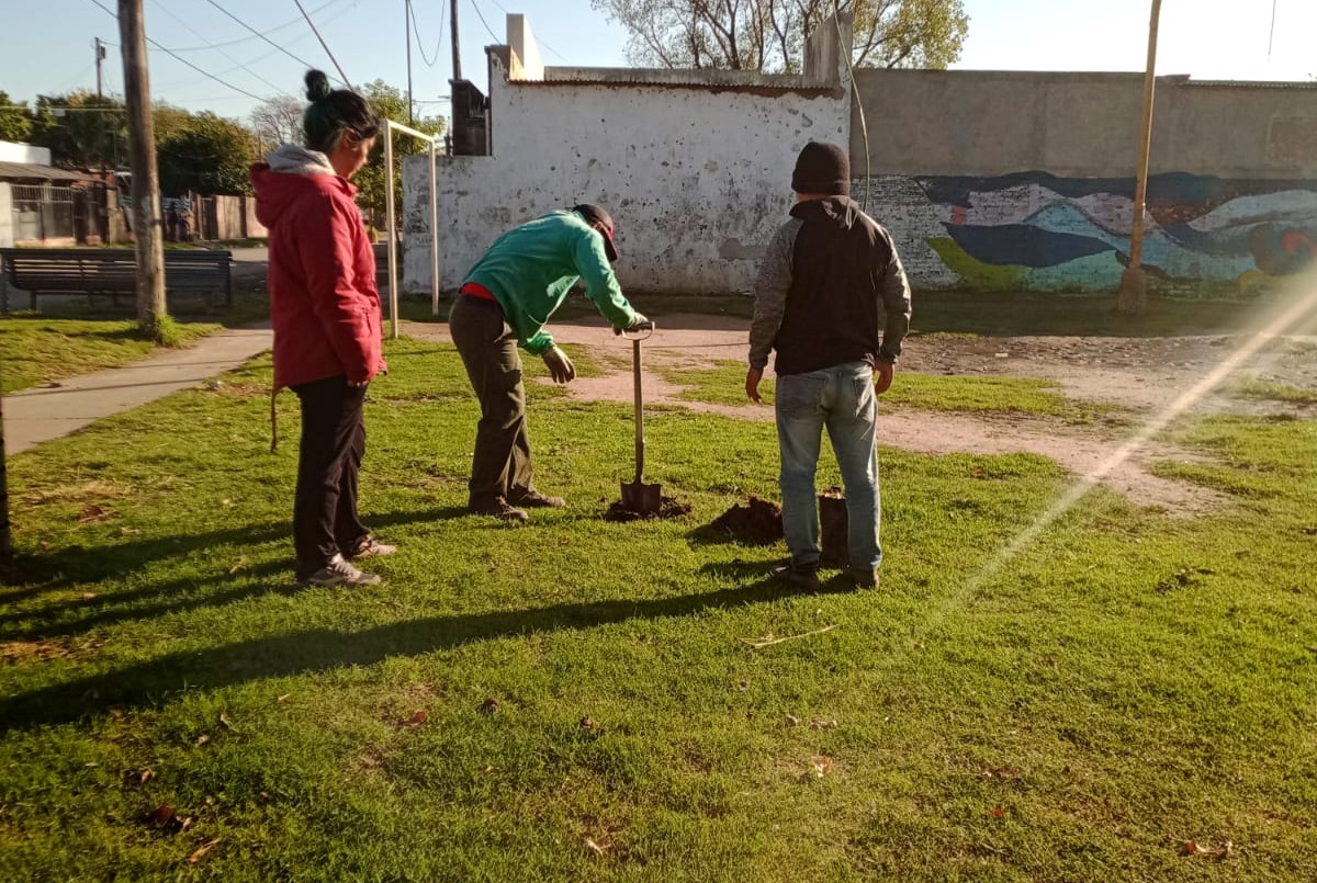 Los trabajos de arbolado, bacheo e iluminación previstos para este martes 7 de junio | Información General