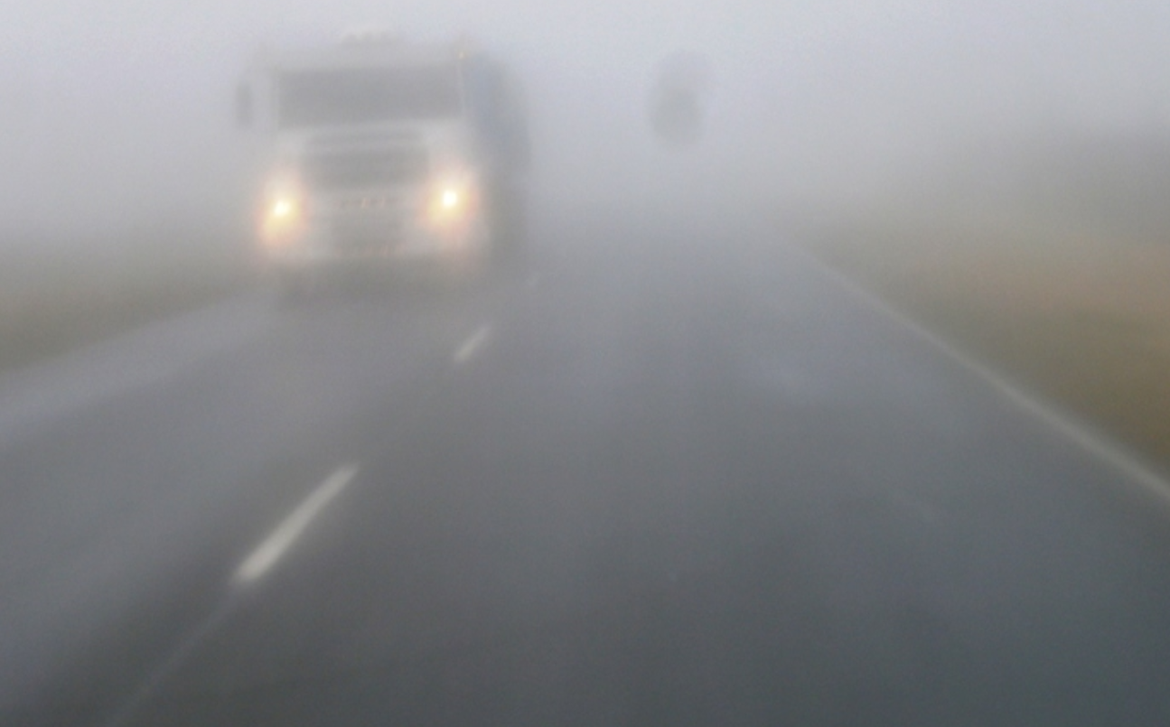 La densa niebla complica el tránsito en las rutas santafesinas | Información General