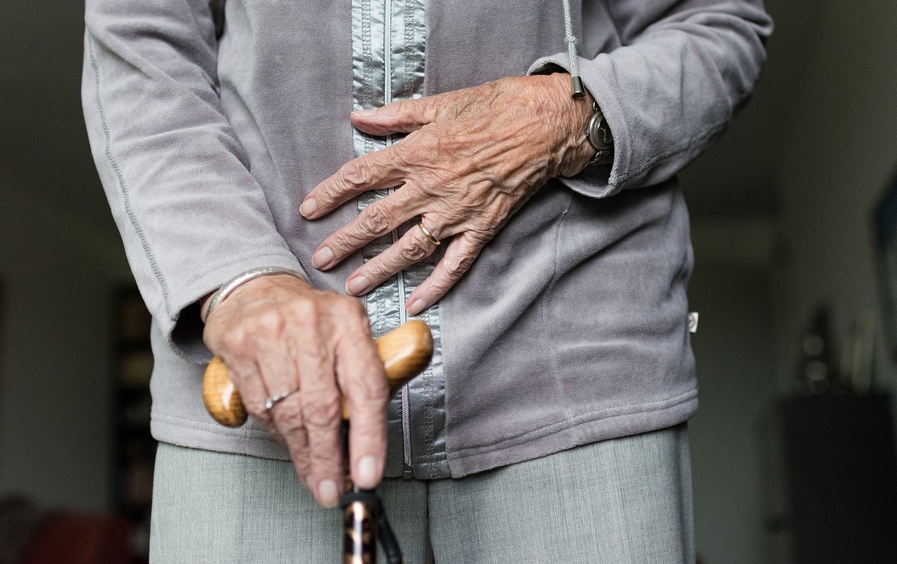 La Municipalidad propone una caminata por el buen trato a las personas mayores | Información General