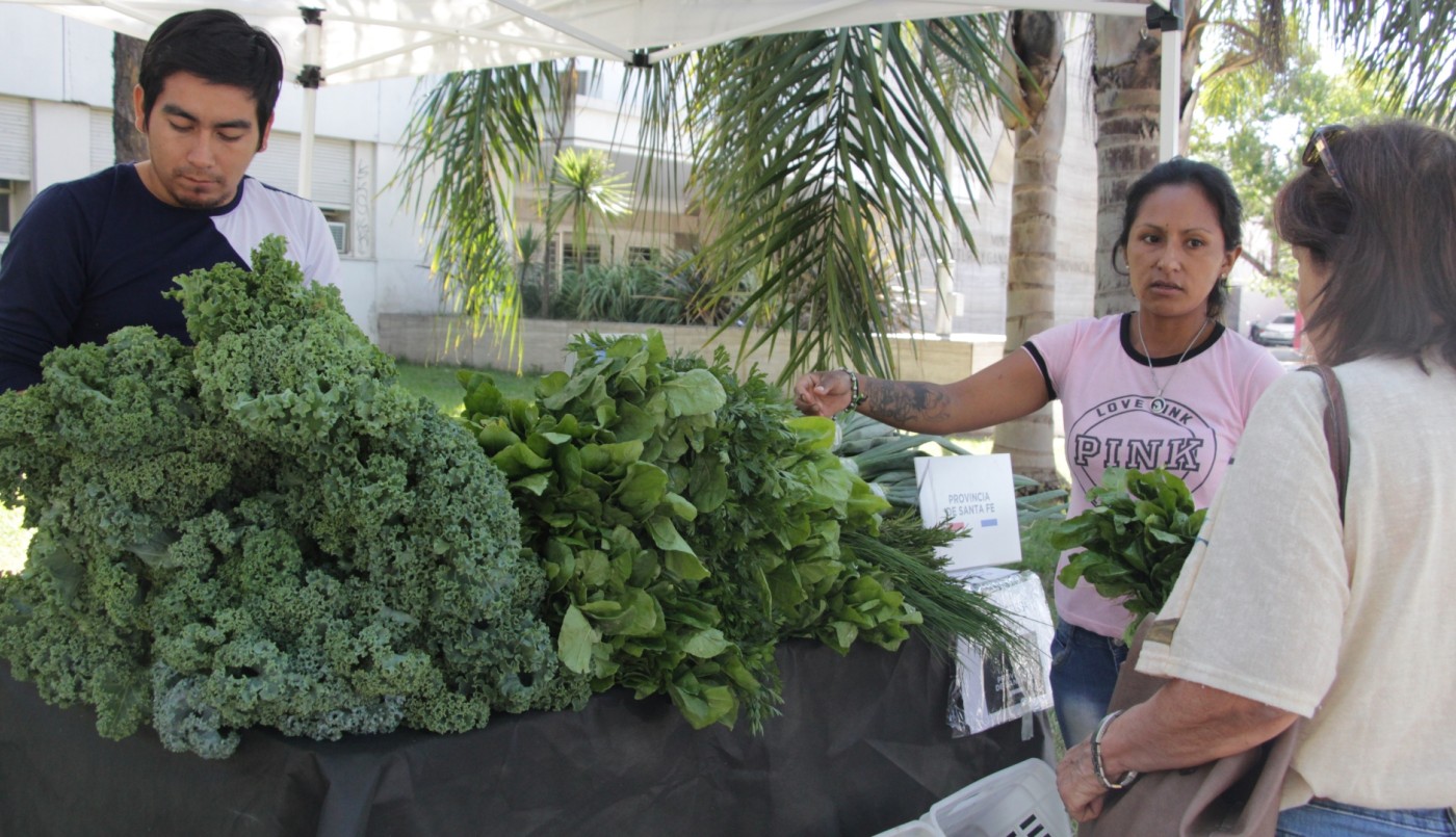Habrá una Feria Agroecológica en la explanada del Ministerio de Producción | Noticias