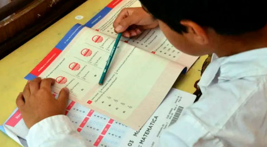 La Pruebas Aprender 2021 arrojaron como resultado un fuerte retroceso en Lengua | Información General
