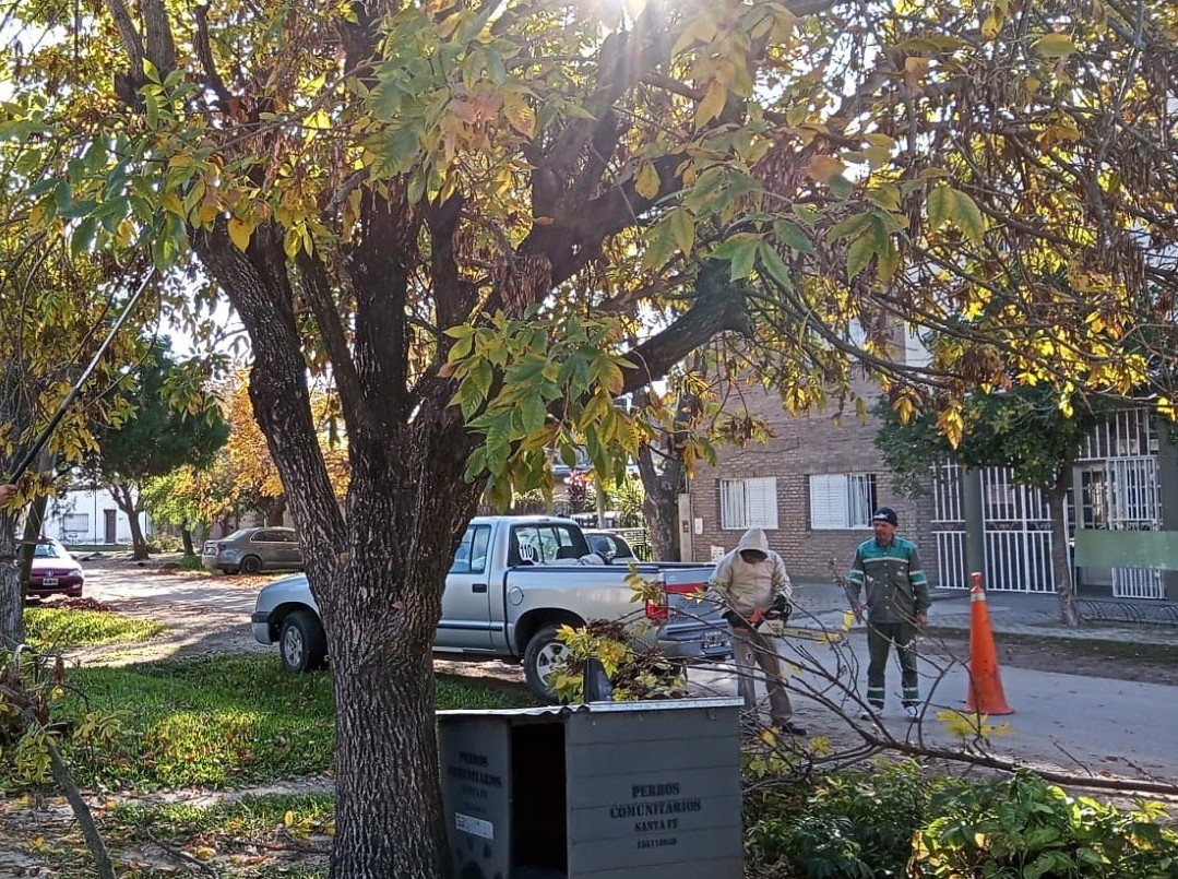 Los trabajos de arbolado, bacheo e iluminación previstos para este 23 de junio | Información General