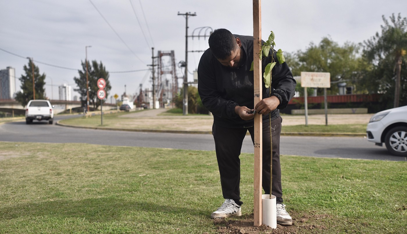 Los trabajos de arbolado, bacheo e iluminación previstos para este 28 de junio | Información General