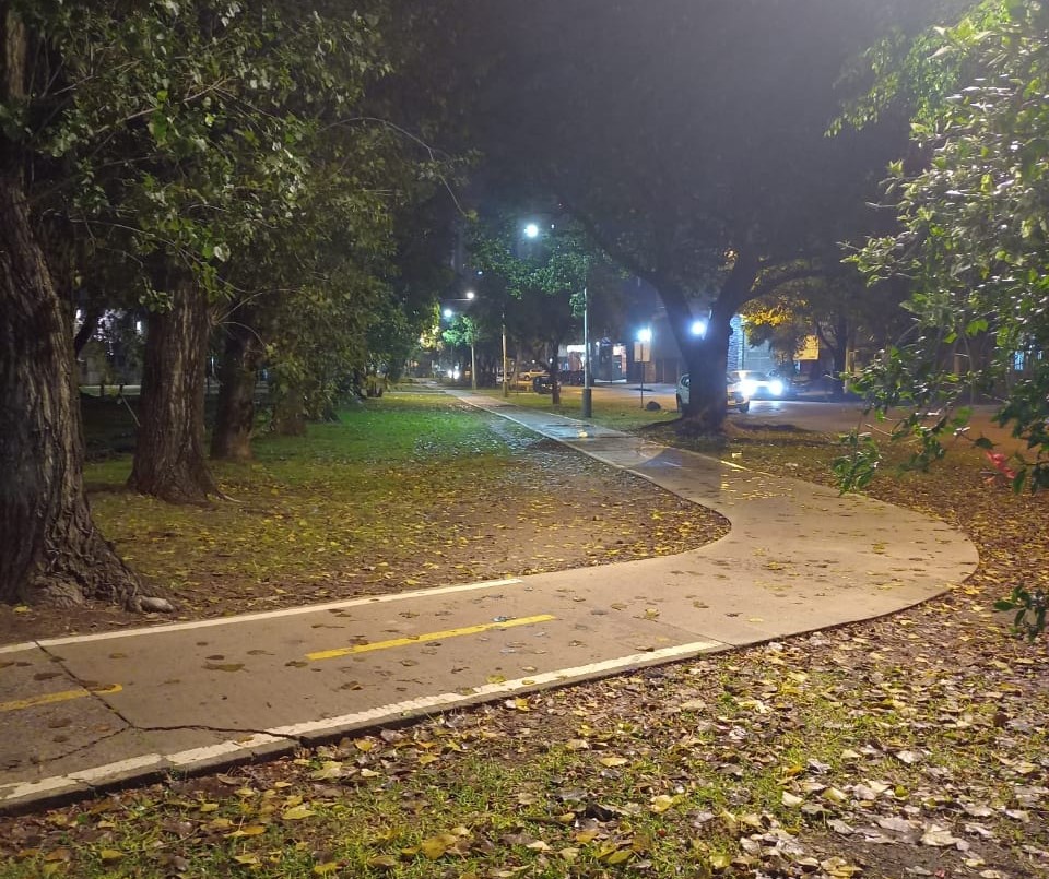 Los trabajos de bacheo, iluminación y arbolado previstos para este 5 de julio | Información General