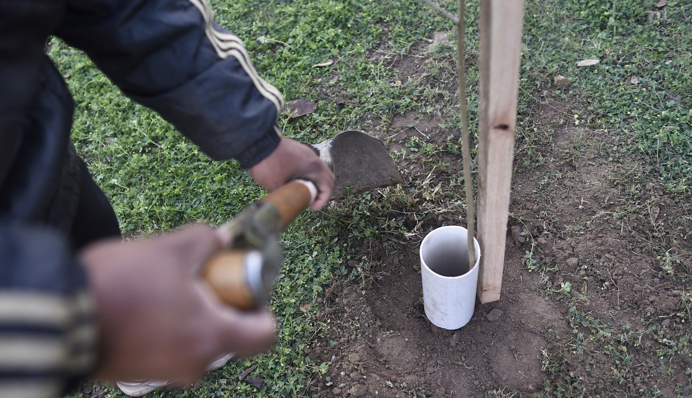 Los trabajos de arbolado, bacheo e iluminación previstos para este 1 de agosto | Información General