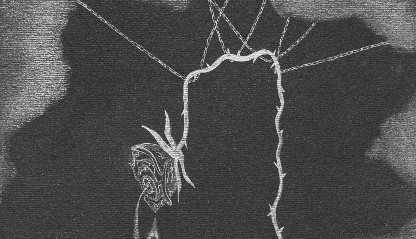 Museo Sor Josefa: nuevas propuestas, entre la tradición y las prácticas contemporáneas | Espectaculos