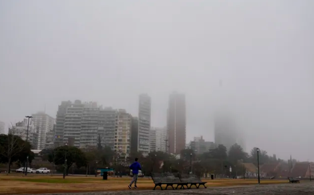 Incendio en las islas: Dramática situación entre Rosario y San Nicolás | Noticias