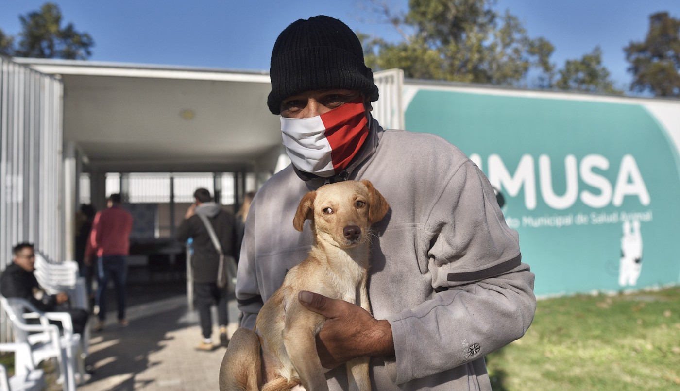 Este martes habrá castración de animales de compañia en la ciudad | Información General