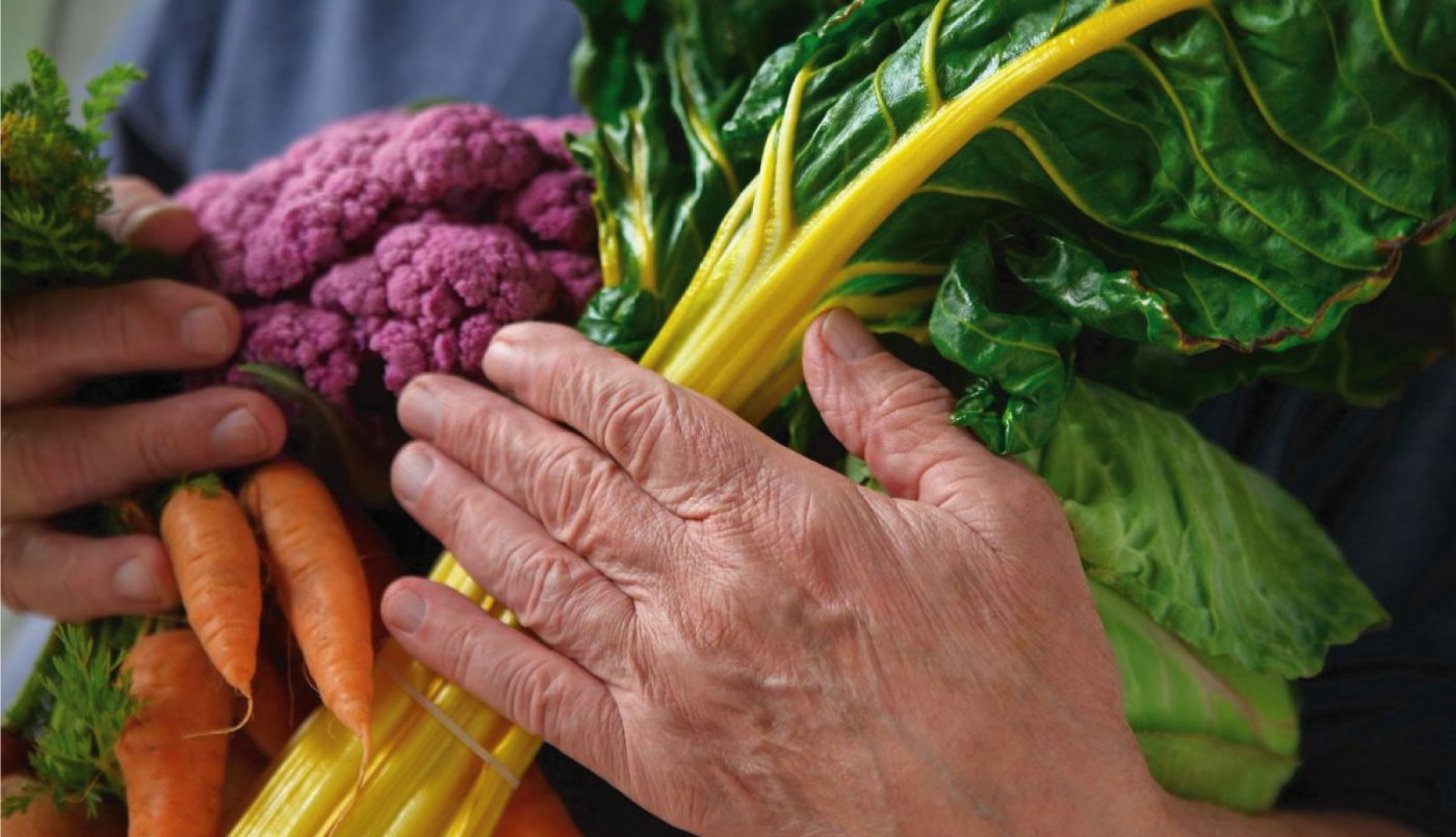 Taller de Alimentación para la prevención de la diabetes y la hipertensión | Información General