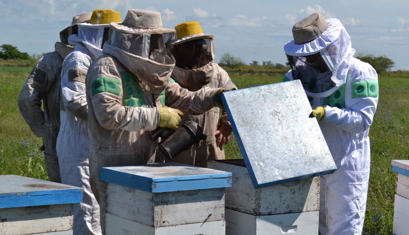 Se encuentran abiertas las inscripciones para los cursos de iniciación apícola | Información General