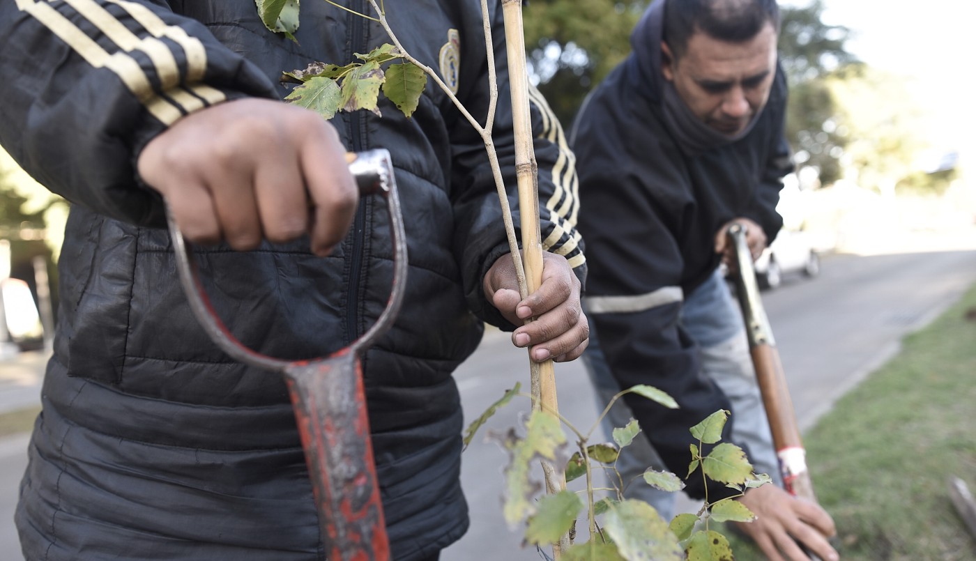 Los trabajos de arbolado, bacheo e iluminación previstos para este 17 de agosto | Información General