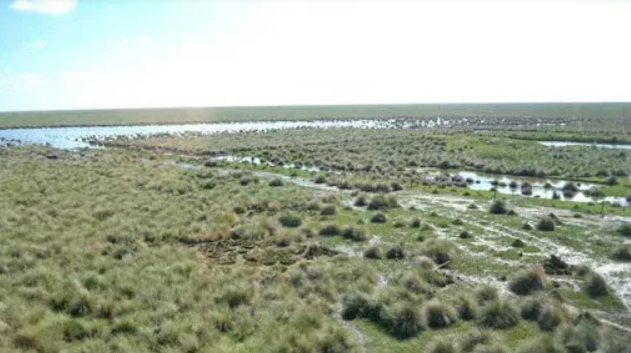 Perotti encabezará la reunión del Comité Interprovincial por los Bajos Submeridionales | Noticias