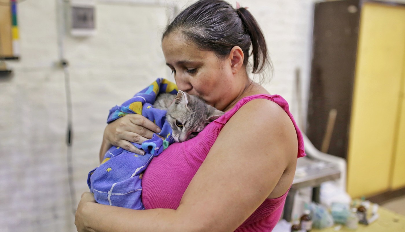 El cronograma de castraciones de animales de compañía | Información General