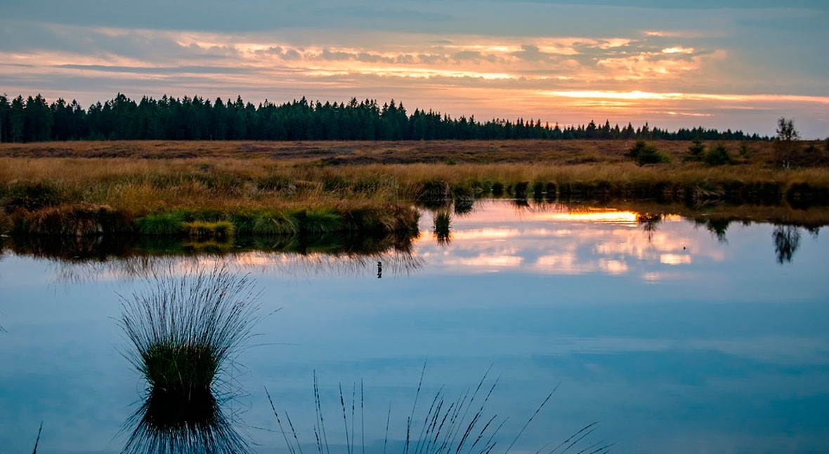 Este domingo habrá en la ciudad una movilización por los humedales | Información General