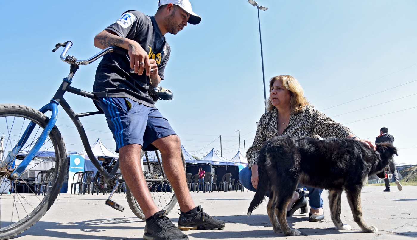 Los operativos sanitarios incorporan la vacunación antirrábica para mascotas | Información General