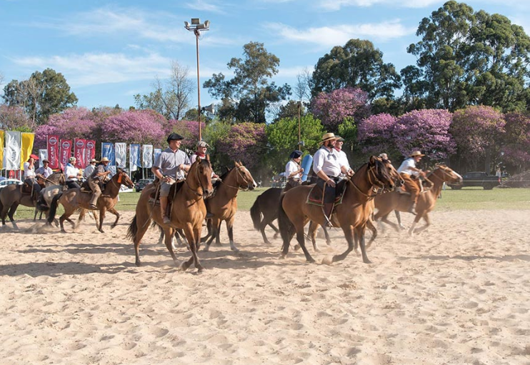 La actividad ecuestre llega a FECOL + EXPODEMA el domingo | Información General