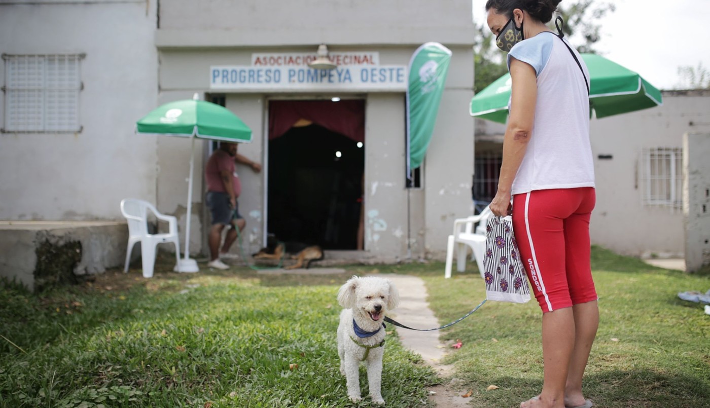 Trabajos de iluminación, bacheo y castración de mascotas previstos para este viernes | Información General