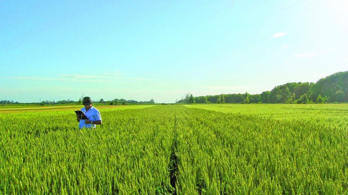 Realizarán talleres de capacitación para veedores en la aplicación de fitosanitarios en periurbanos | Información General