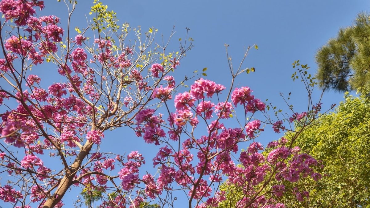 Sigue subiendo la temperatura en Santa Fe: el pronóstico para hoy sábado | Información General