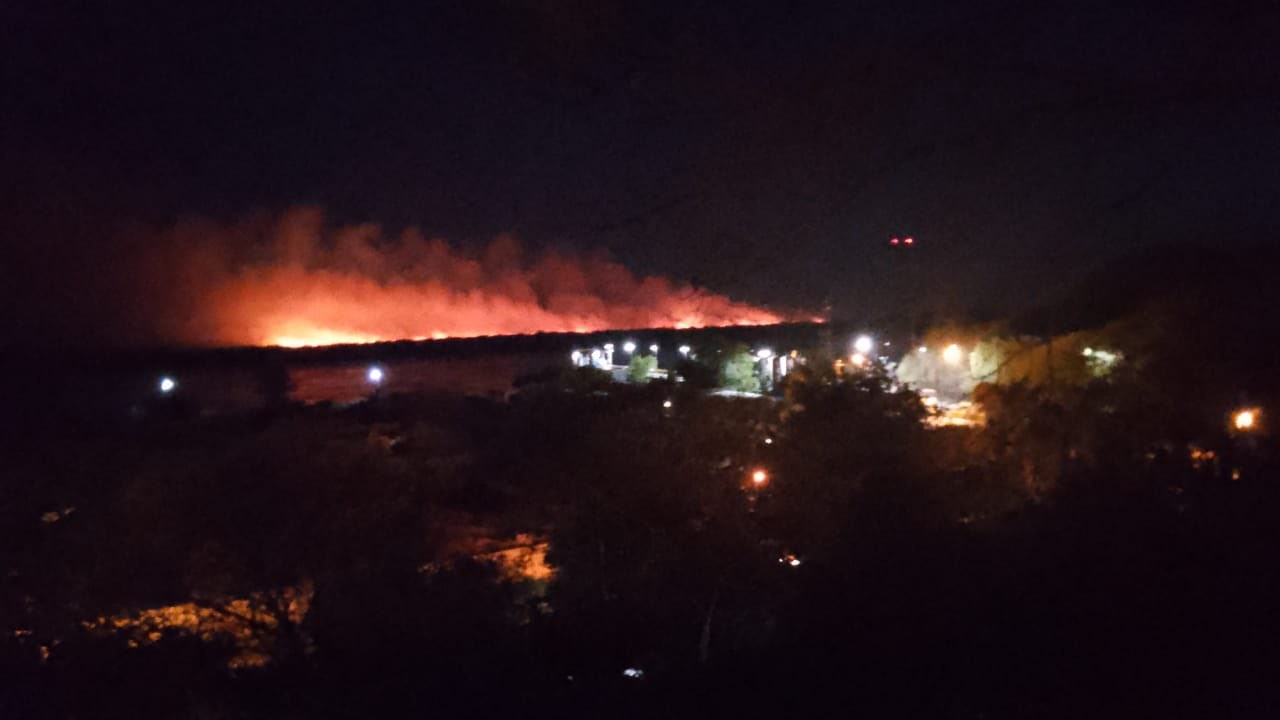 Este domingo se produjo un incendio de gran magnitud en las islas | Noticias