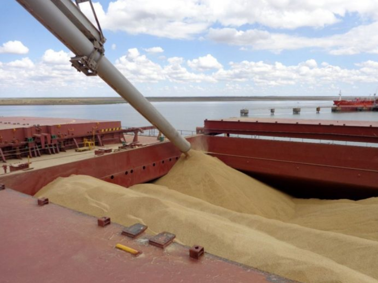 Postergan las exportaciones de trigo para garantizar el abastecimiento | Noticias