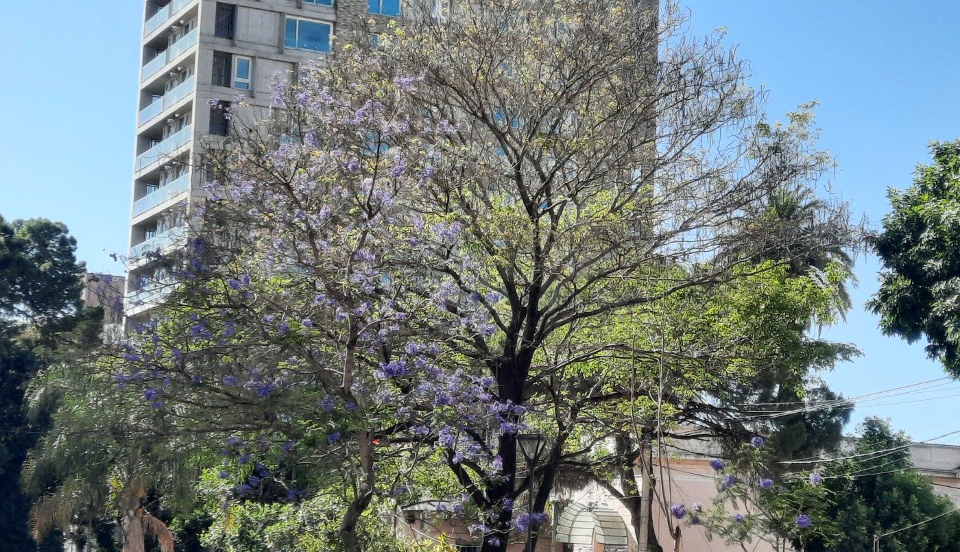 Cómo estará el tiempo en la ciudad este miércoles | Información General