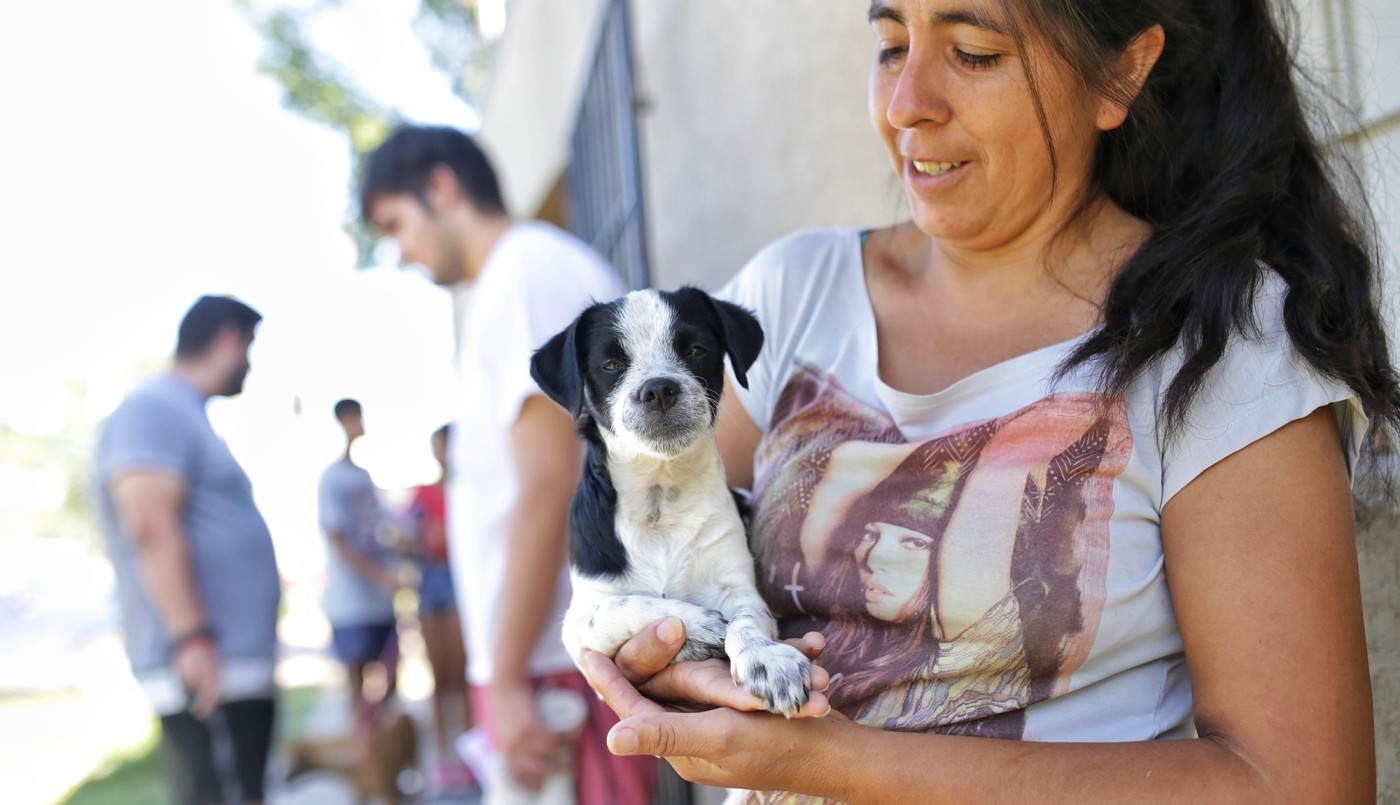 Este lunes habrá castración de animales de compañía, trabajos de bacheo e iluminación | Información General