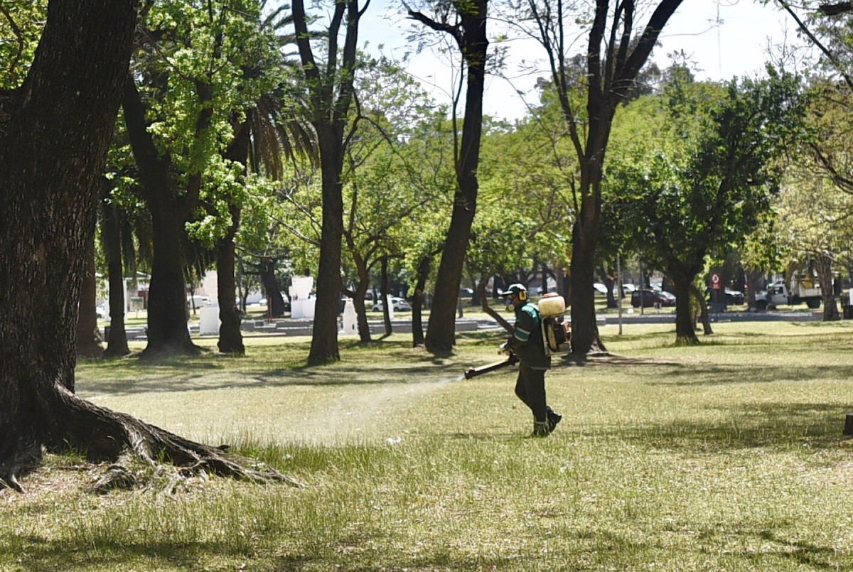 Trabajos de fumigación, iluminación y bacheo previstos para este viernes | Información General