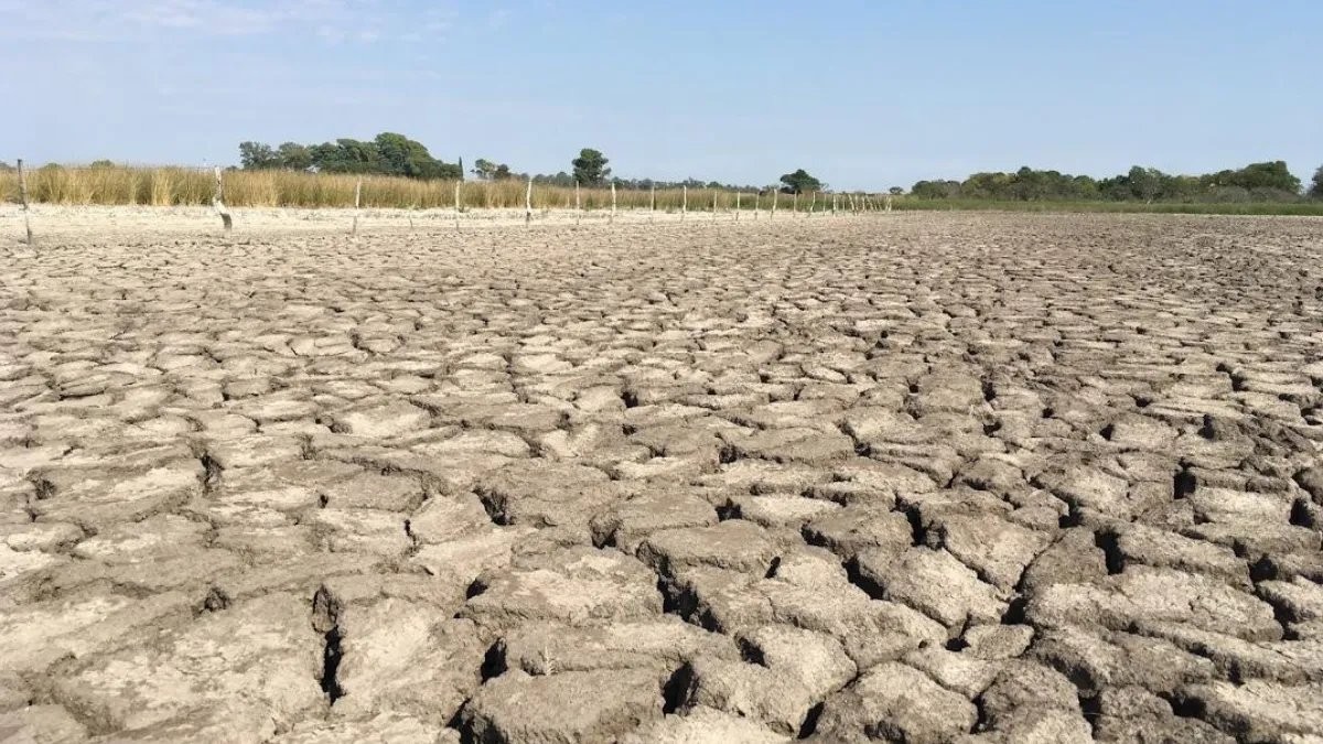 Es oficial: la Nación prorrogó la emergencia o desastre agropecuario en la provincia | Información General