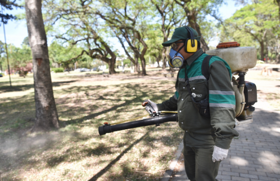 Operativos de fumigación y trabajos de bacheo e iluminación previstos para este jueves | Información General