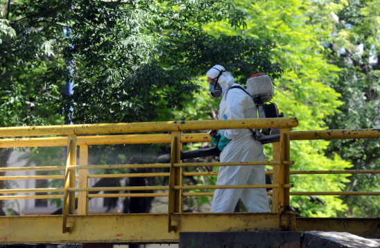 Habrá operativos de fumigación este viernes en la ciudad | Información General