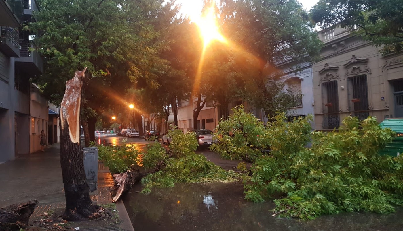 Después del calor, fuerte temporal en Rosario: granizo, árboles caídos y calles anegadas | Información General