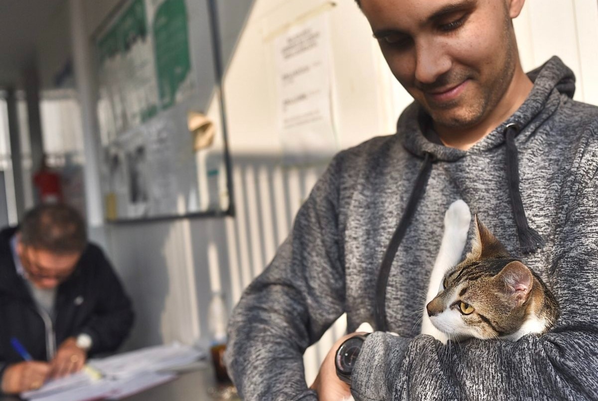 Trabajos de fumigación, iluminación y bacheo previstos para este miércoles (1) | Información General