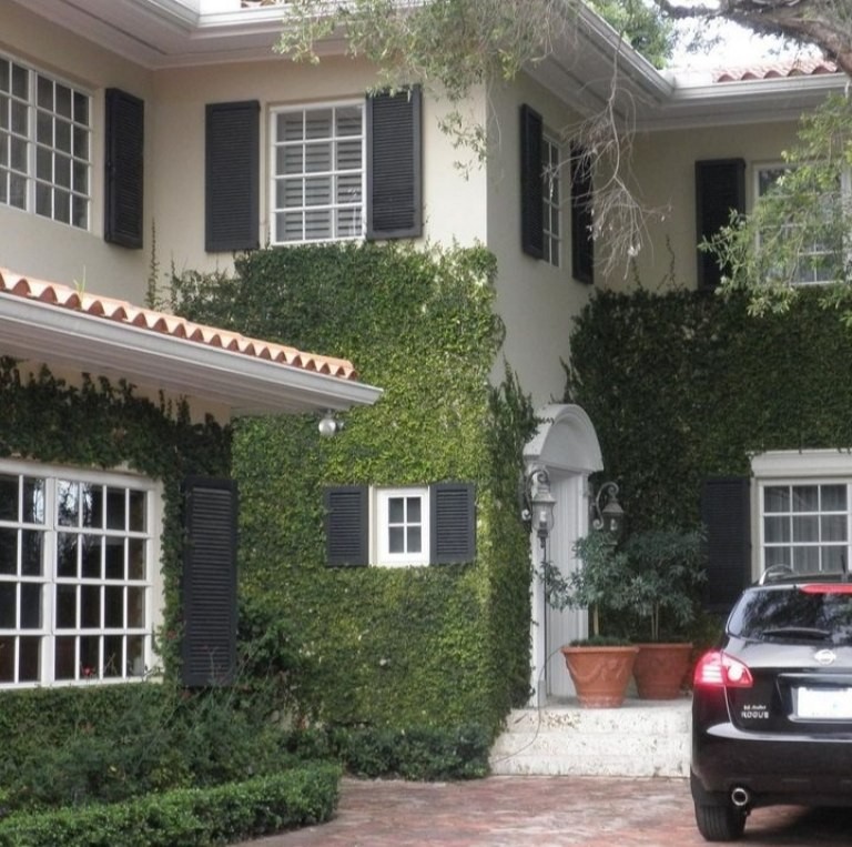 "Gracias a Dios no fue mas que un susto", dijo Susana Giménez tras un principio de incendio en su casa de Miami | Espectaculos