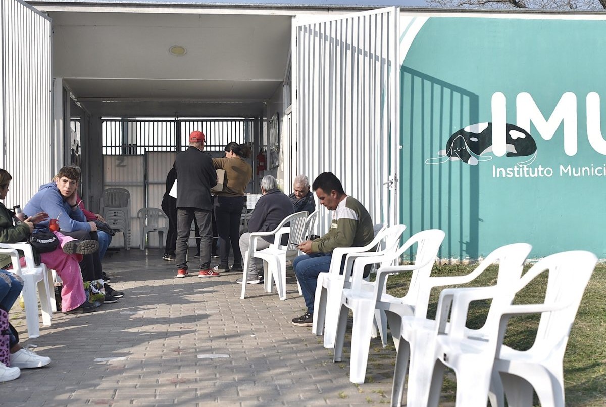 Cuáles son los trabajos de fumigación, iluminación y bacheo previstos para hoy | Información General