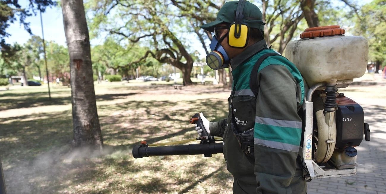Cuáles son los trabajos de fumigación, iluminación y bacheo este lunes en la ciudad | Información General