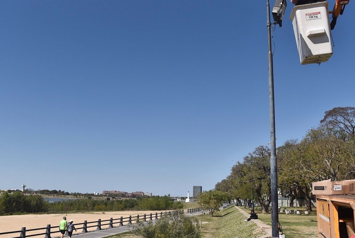 Trabajos de fumigación, iluminación y bacheo previstos para hoy martes | Información General