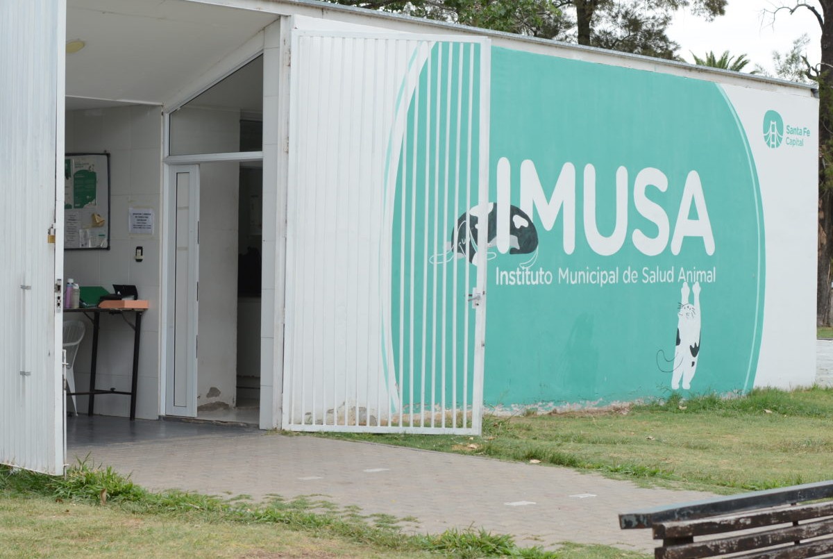 Fumigación, iluminación y bacheo previstos para este miércoles | Información General