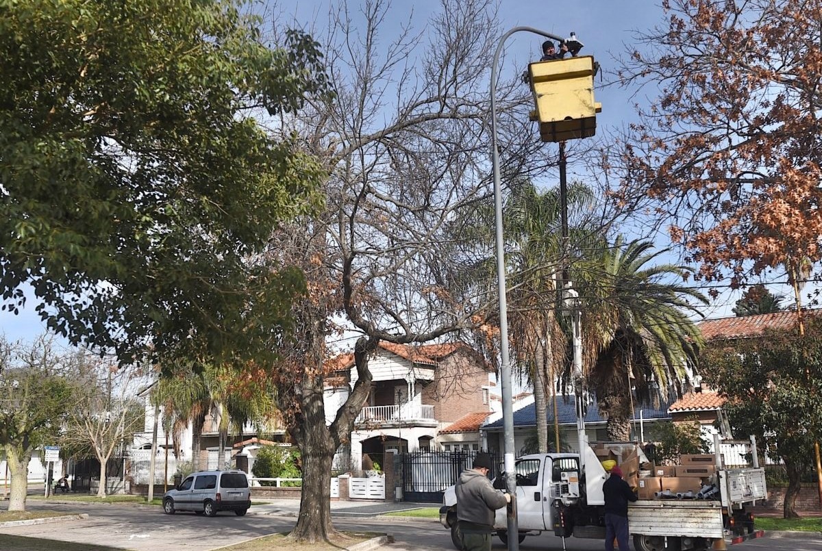 Los trabajos de fumigación, iluminación y bacheo previstos para este viernes | Información General