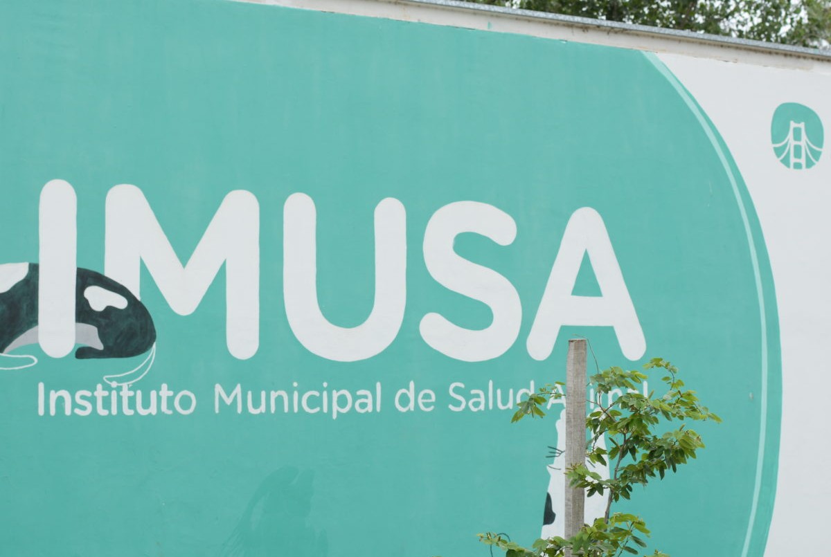 Lunes: fumigación, iluminación y bacheo | Información General