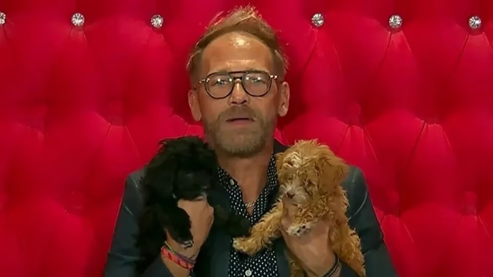 Repudiaron a Rodolfo por pegarle con la chancleta a Mora, la perrita de Gran Hermano | Espectaculos