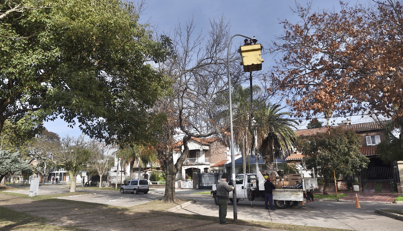 Trabajos de fumigación, iluminación y bacheo previstos para este jueves 9 de marzo | Información General