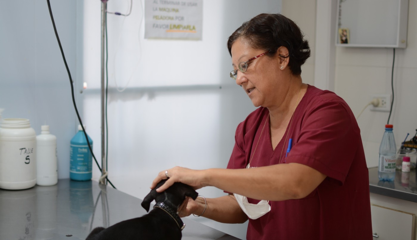 Trabajos de fumigación, iluminación y bacheo previstos para este viernes 10 de marzo | Información General