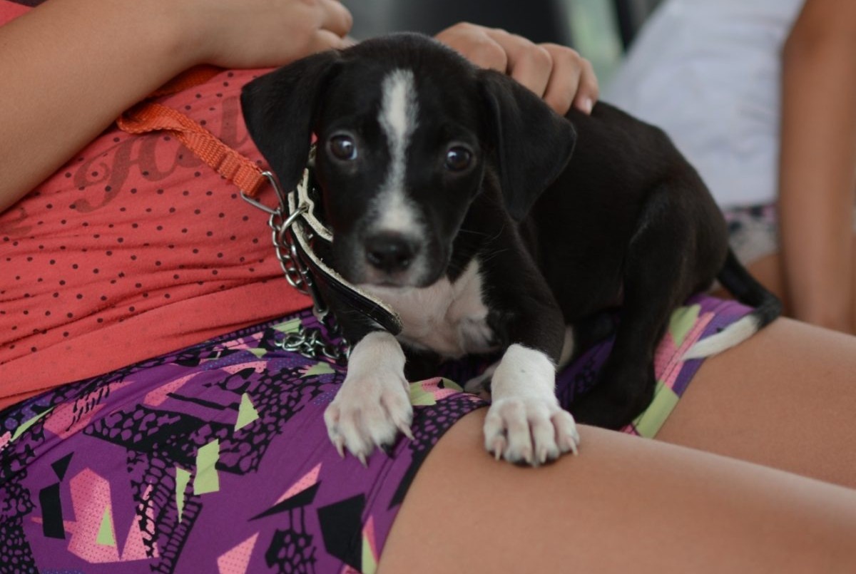 Trabajos de fumigación, iluminación y bacheo previstos para este jueves 30 de marzo | Información General