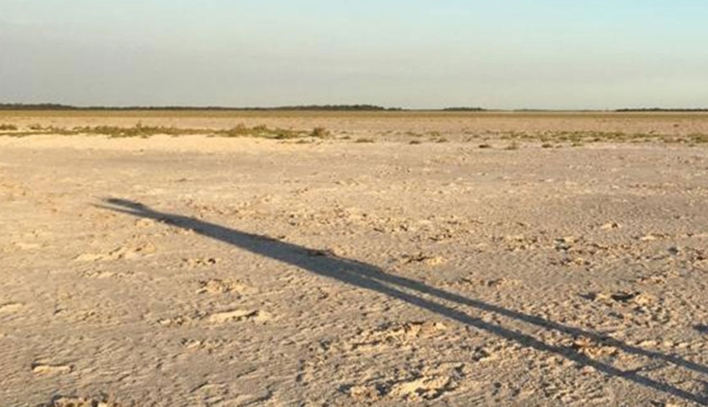 La provincia informó gestiones con AFIP para asistir a productores afectados por la sequía | Información General